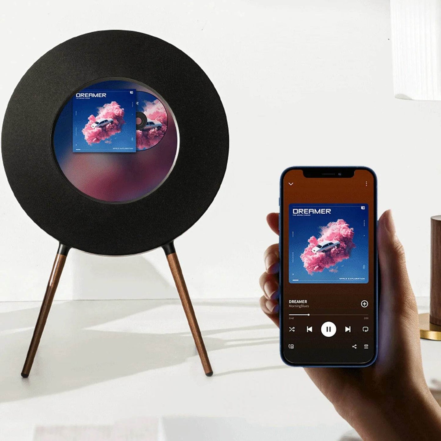Vinyl Record Lyrics Player - Zoanne