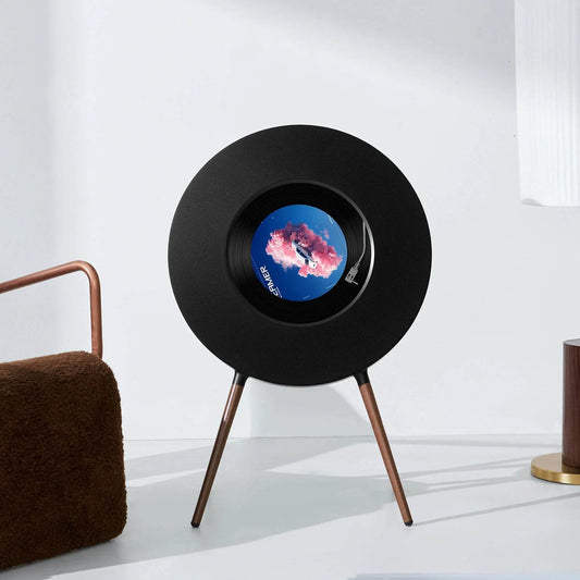 Vinyl Record Lyrics Player - Zoanne