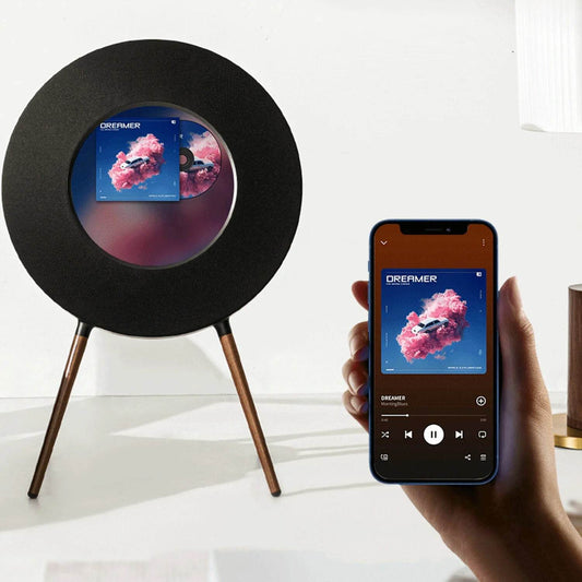 Vinyl Record Lyrics Player - Zoanne