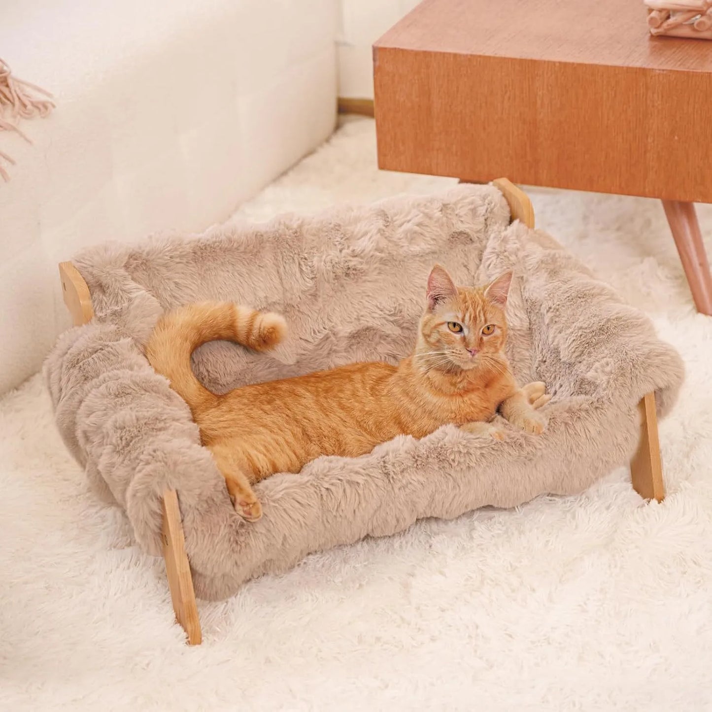 Indoor cat-specific elevated cat bed